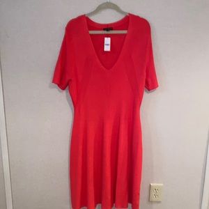 Lane Bryant Dress